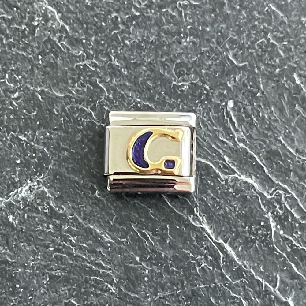 Zoppini Stainless Steel and Blue Enameled initial G Charm link